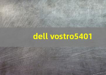 dell vostro5401